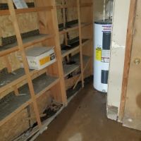 Water Mold Removal ico