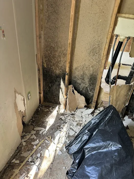 Morgan Restore of Florence Picture 8