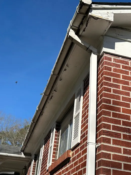 Morgan Restore of Florence Picture 9