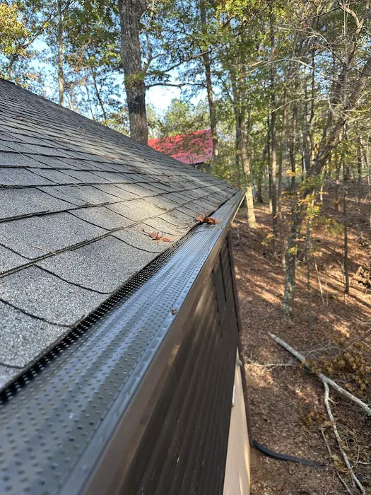 Morgan Restore Picture 10