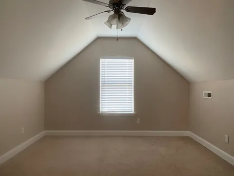 ProPainters Picture 8