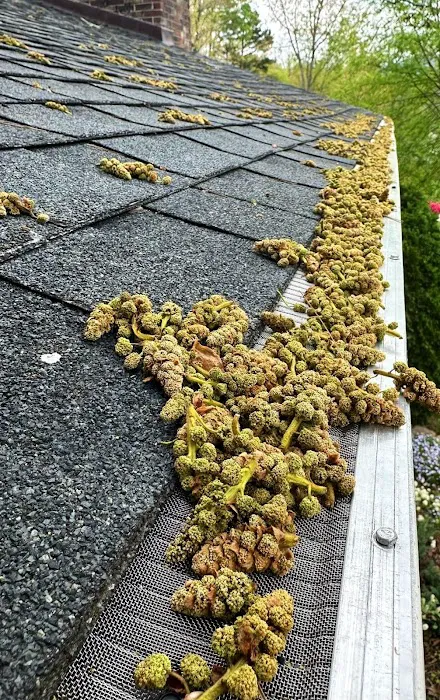 GutterClean AVL Picture 1