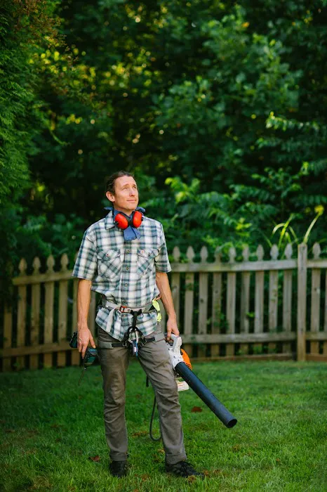 GutterClean AVL Picture 4