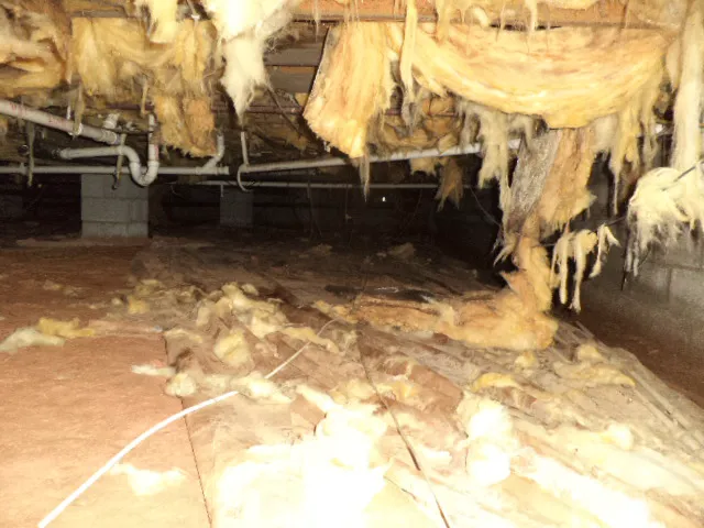 Precision Restoration Services Picture 7