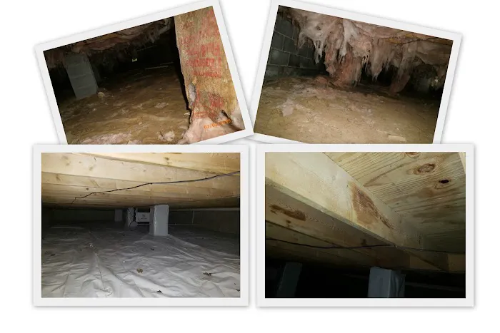 Precision Restoration Services Picture 10