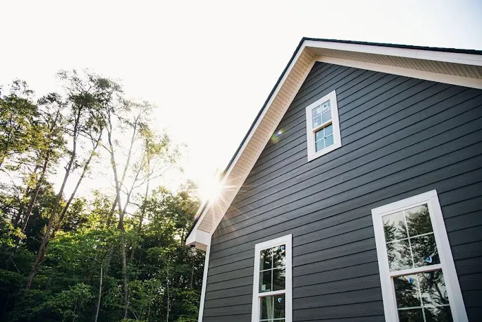 Obregon Painting Picture 8