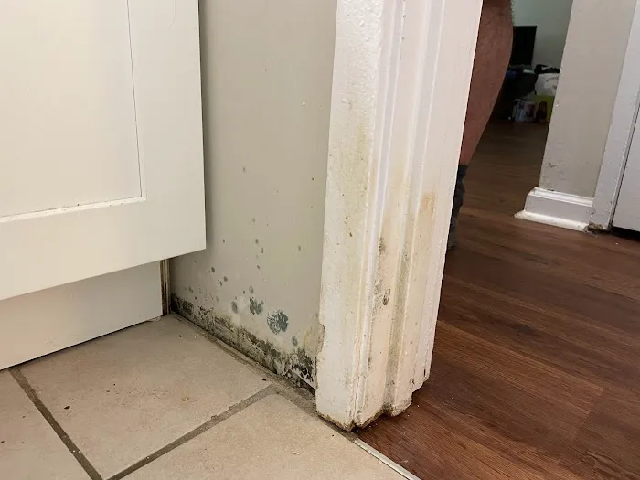 SERVPRO of West Knoxville Picture 7