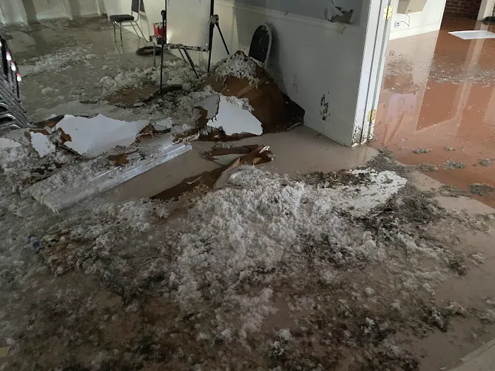 Mold Drs.USA Picture 7