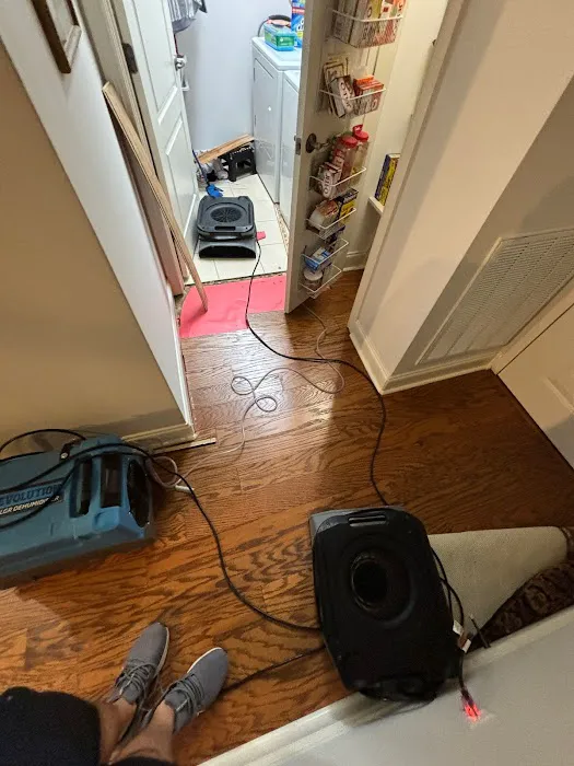 Ready Now Picture 10