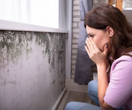 Best Choice Inspections - North