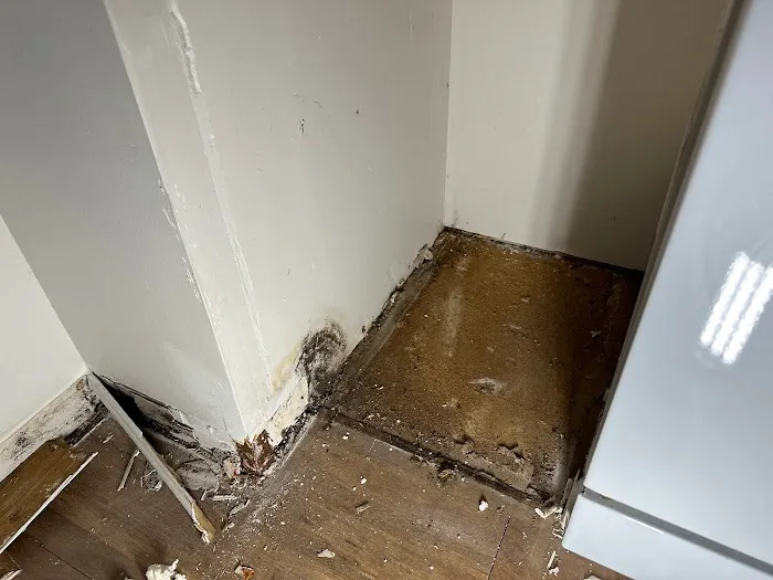 Super Kleen Services Picture 1