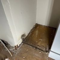 Super Kleen Services ico