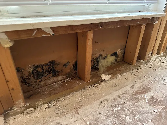 Super Kleen Services Picture 5