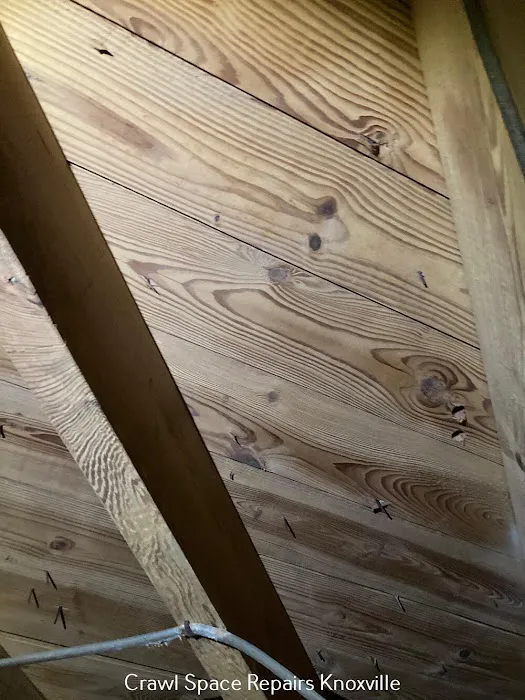 Crawl Space Ninja of Knoxville Picture 9