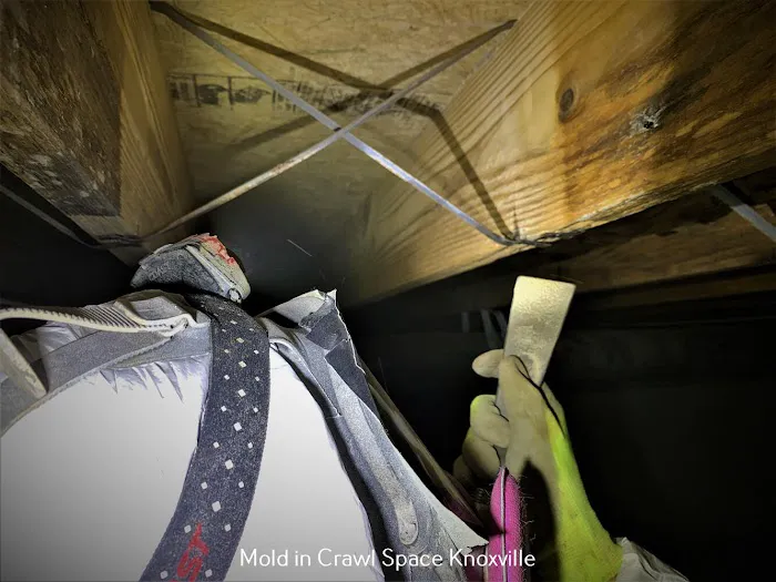 Crawl Space Ninja of Knoxville Picture 10