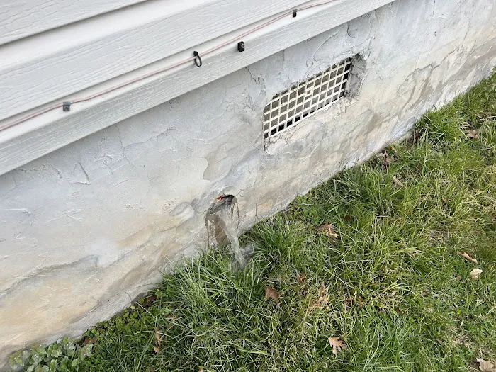 Drip Dry Restoration Picture 3