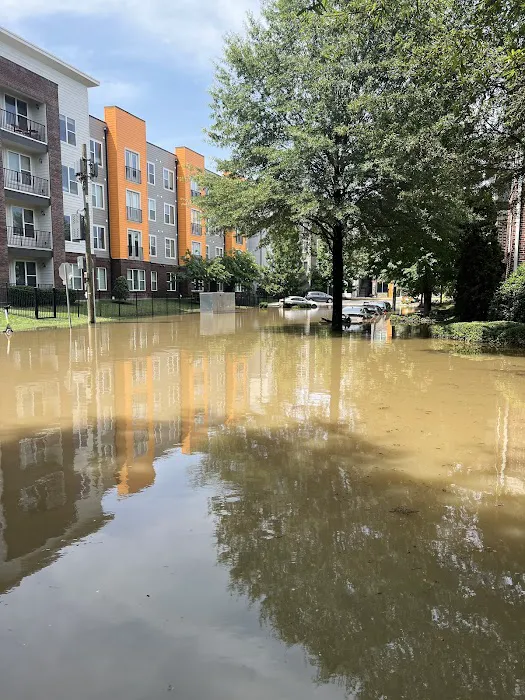 Drip Dry Restoration Picture 4