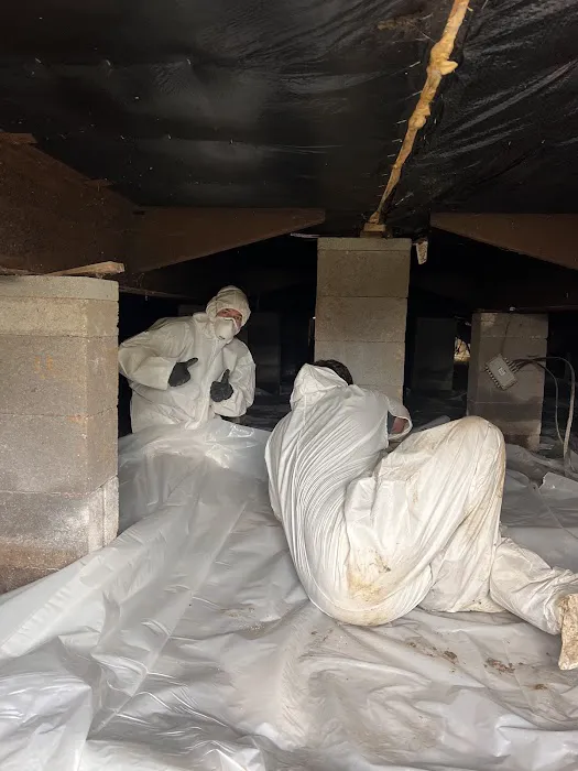 Drip Dry Restoration Picture 5