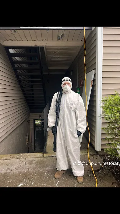 Drip Dry Restoration Picture 8