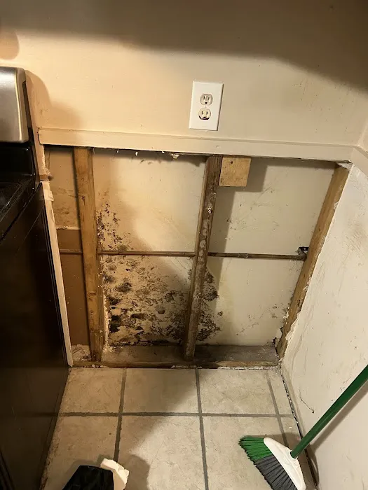 Drip Dry Restoration Picture 9