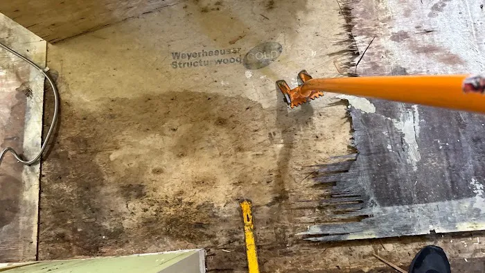 The Claims Crew Picture 3