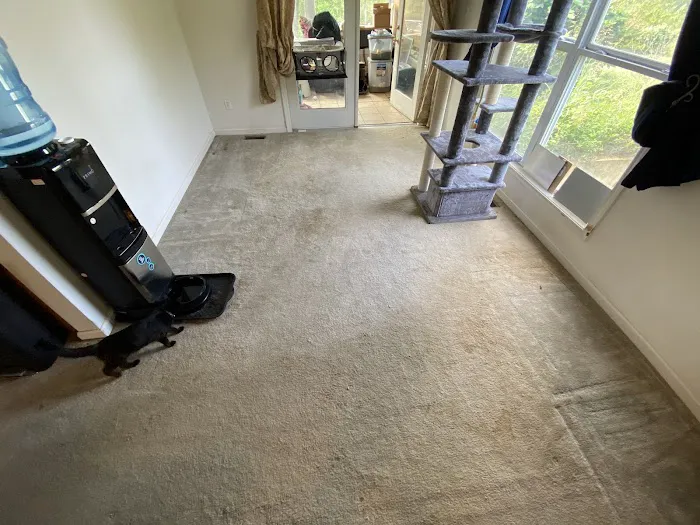 ACR - Advanced Cleaning & Restoration LLC Picture 6