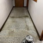 Helping Hands Cleaning Service, LLC and Carpet Cleaning