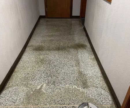 Helping Hands Cleaning Service, LLC and Carpet Cleaning