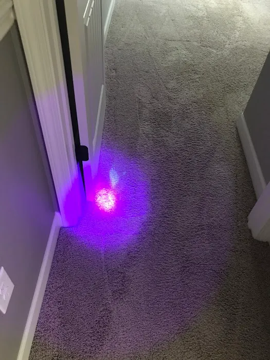 Helping Hands Cleaning Service, LLC and Carpet Cleaning Picture 5