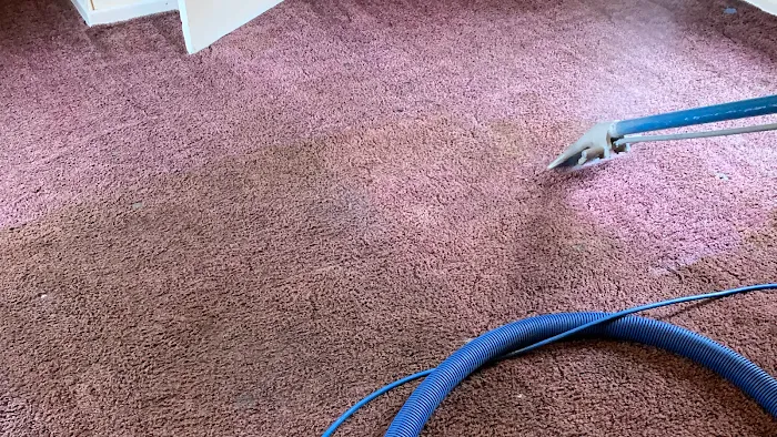 Helping Hands Cleaning Service, LLC and Carpet Cleaning Picture 6