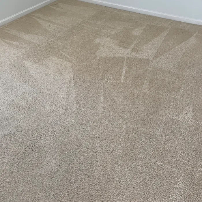 Helping Hands Cleaning Service, LLC and Carpet Cleaning Picture 9