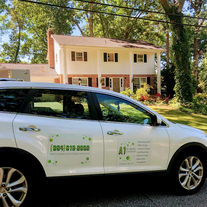 A1 Air Quality Consultants Picture 3