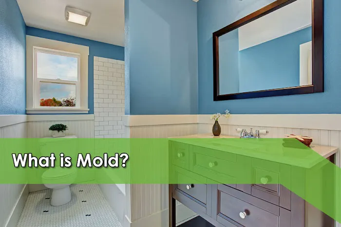 Franklin Environmental Services Picture 10