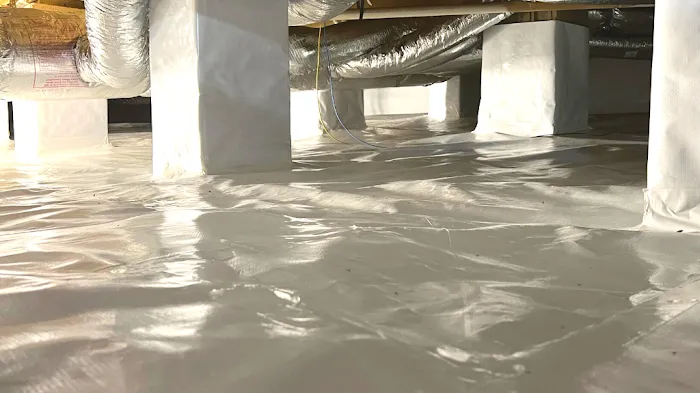 Crawl Space Nash Picture 3