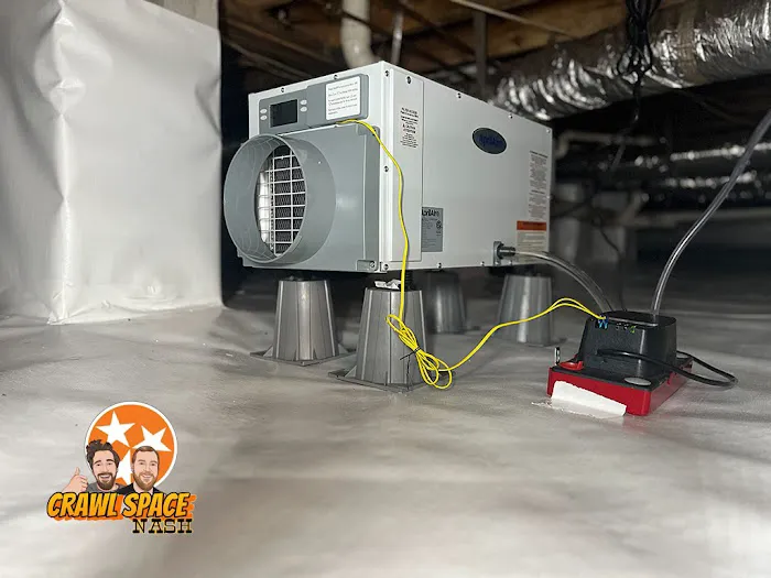 Crawl Space Nash Picture 5