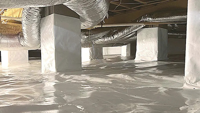 Crawl Space Nash Picture 6