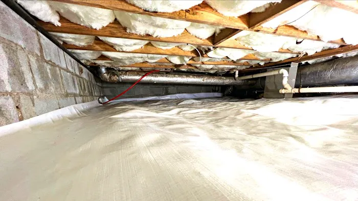 Crawl Space Nash Picture 4