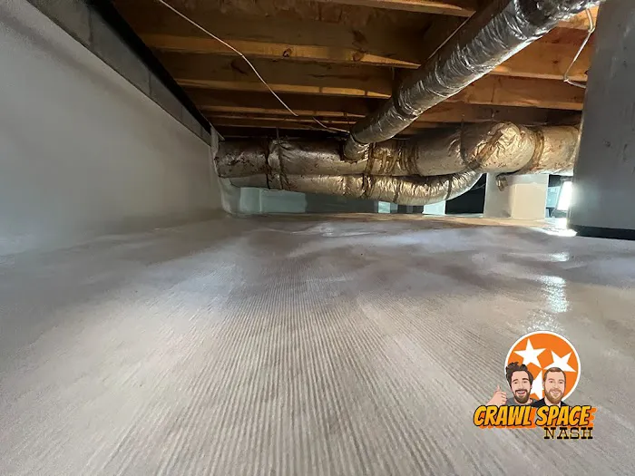 Crawl Space Nash Picture 7