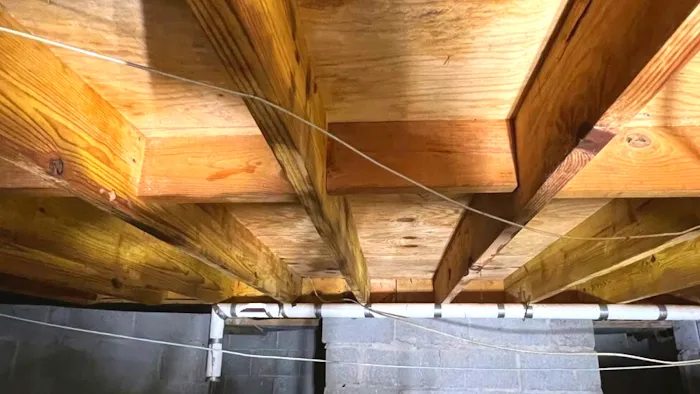 Crawl Space Nash Picture 8