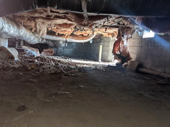 Restore Remodel Renew LLC Picture 5