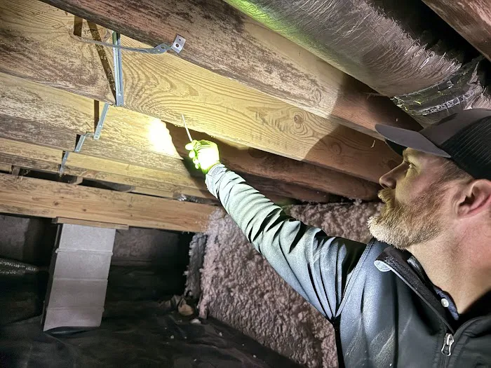 Claro - Mold Testing & Treatment Picture 7