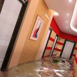 Southern Restoration