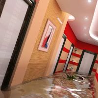 Southern Restoration ico