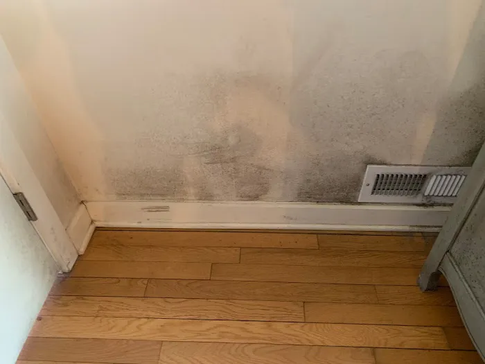 Southern Restoration Picture 6