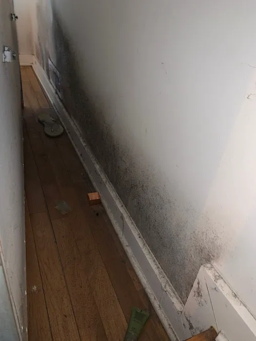 Southern Restoration Picture 8