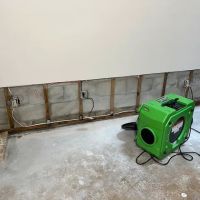 ZeroMold Nashville Mold Remediation ico