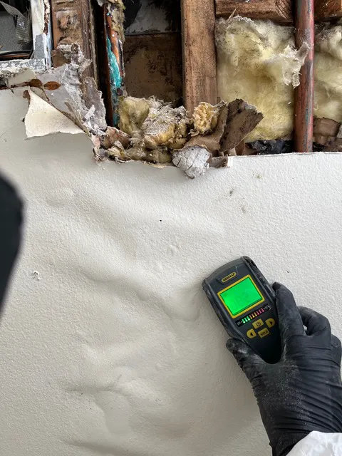 ZeroMold Nashville Mold Remediation Picture 9