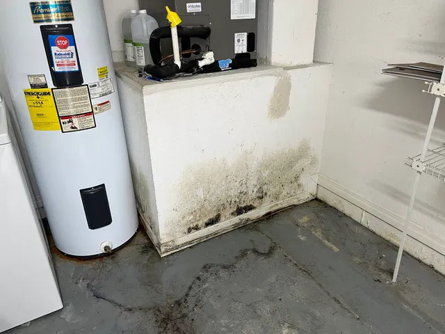ZeroMold Nashville Mold Remediation Picture 8
