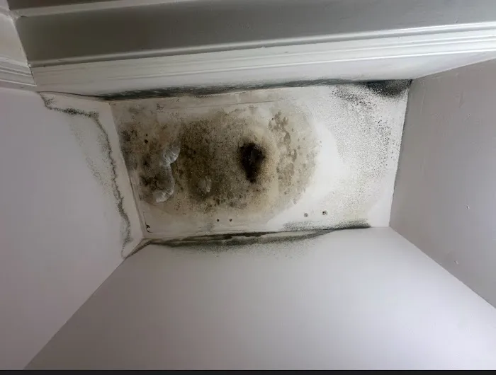 ZeroMold Nashville Mold Remediation Picture 6