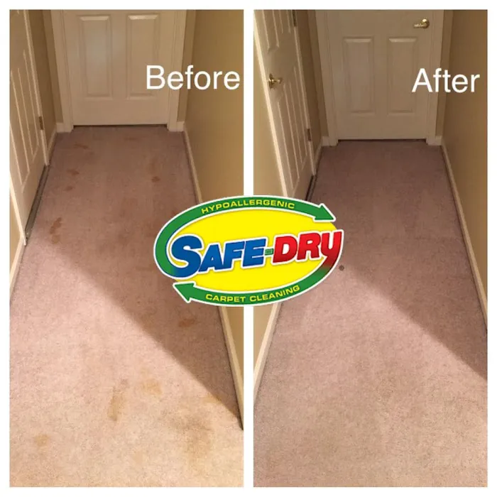 Safe-Dry Carpet Cleaning of Franklin Picture 2